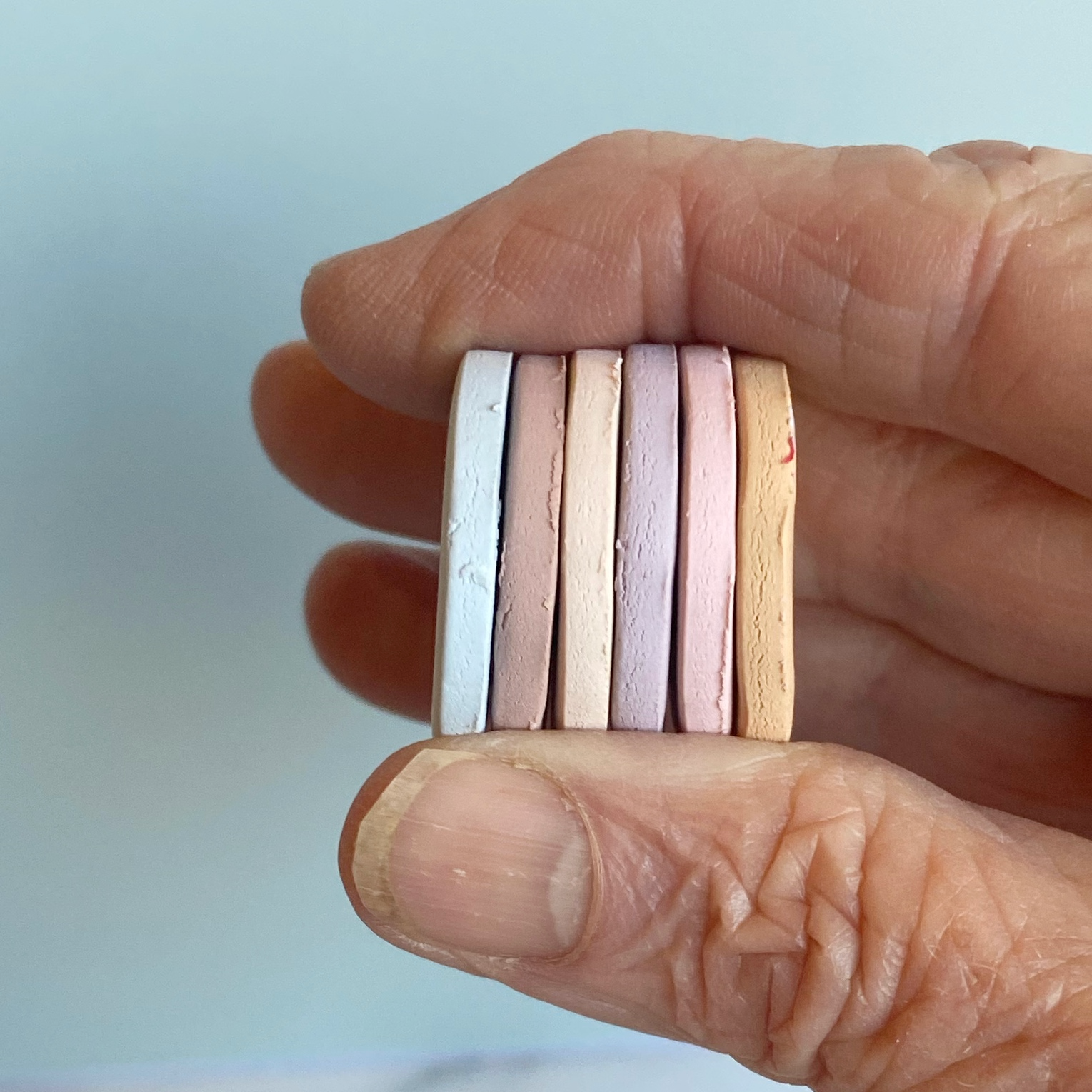 The sample color discs of farmhouse palette handheld
