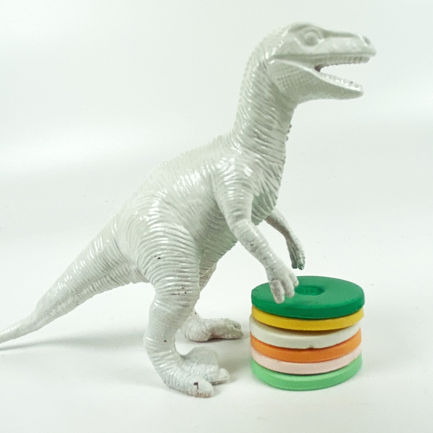 Orange Grove Palette sample discs with dinosaur
